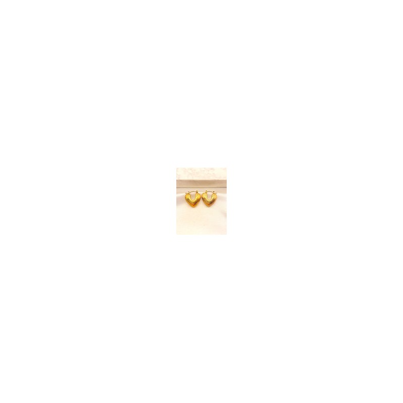 Arracada Heart Acero