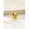 Anillo Ositos Continuos Acero