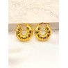 Arracada Anillos Acero